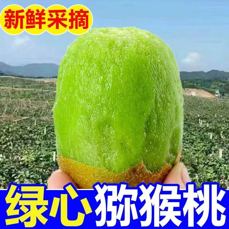 【5斤彩箱礼盒装】正宗绿心猕猴桃头茬奇异果酸甜可口坏果包赔x