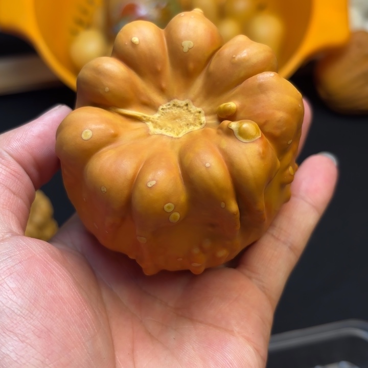 木*?福利福禄不退不换