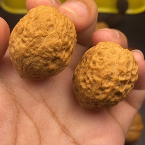 文玩核桃把件36尺蛇皮元宝