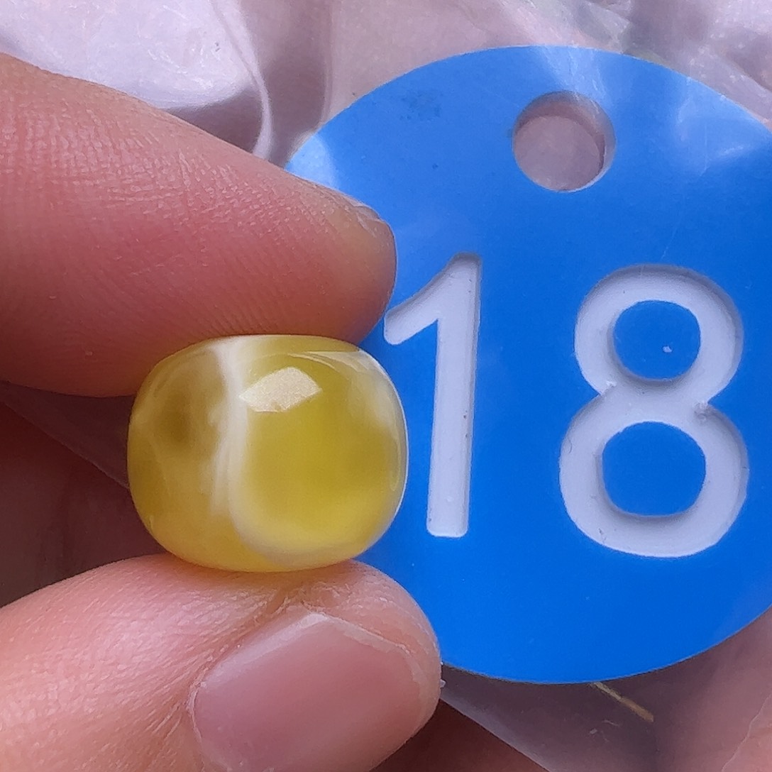 未镶嵌蜜蜡裸石12.7m m