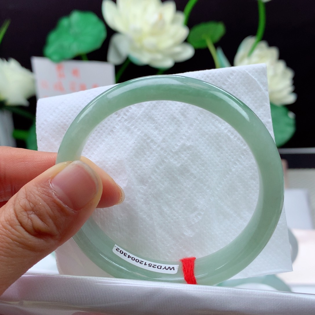 未镶嵌手镯翡翠纯天然1