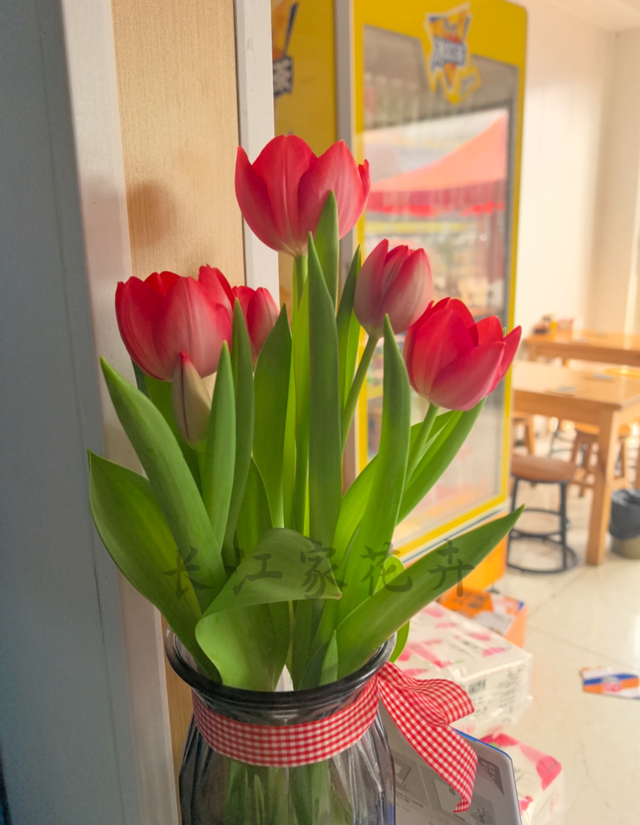 荷兰进口大球郁金香自然球11/12种球盆栽水培土培耐寒