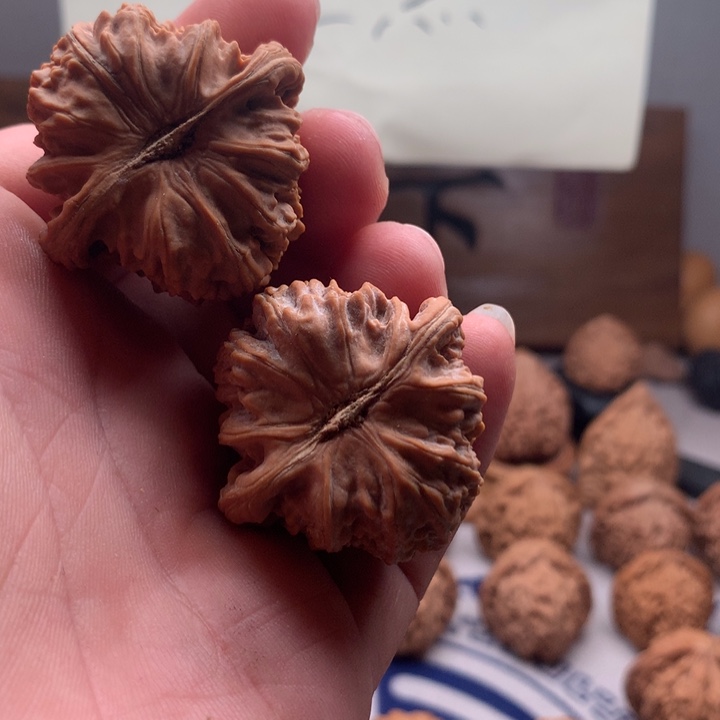 子***东桃核吊坠山地果白狮子