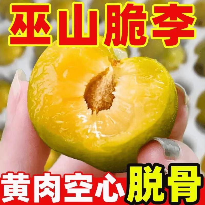 【正宗巫山脆李】重庆巫山脆李脱骨李新鲜应季水果XB001