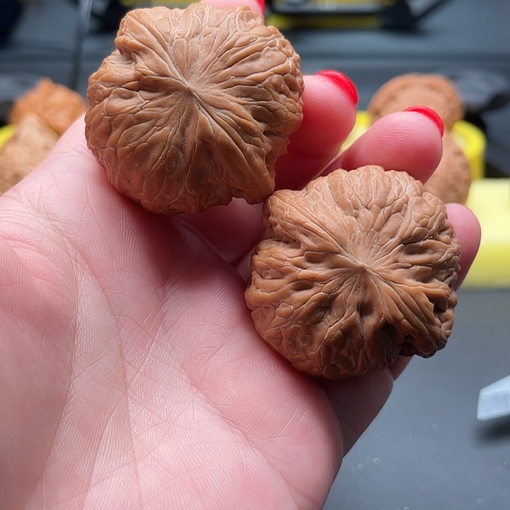 全品无修39+/39+/30