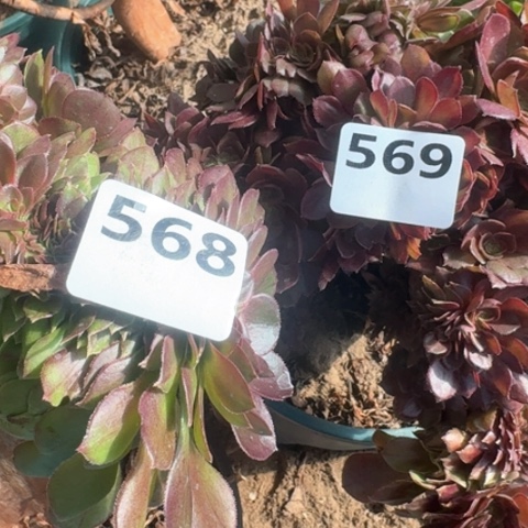 有****＞法师万缀2颗17-46