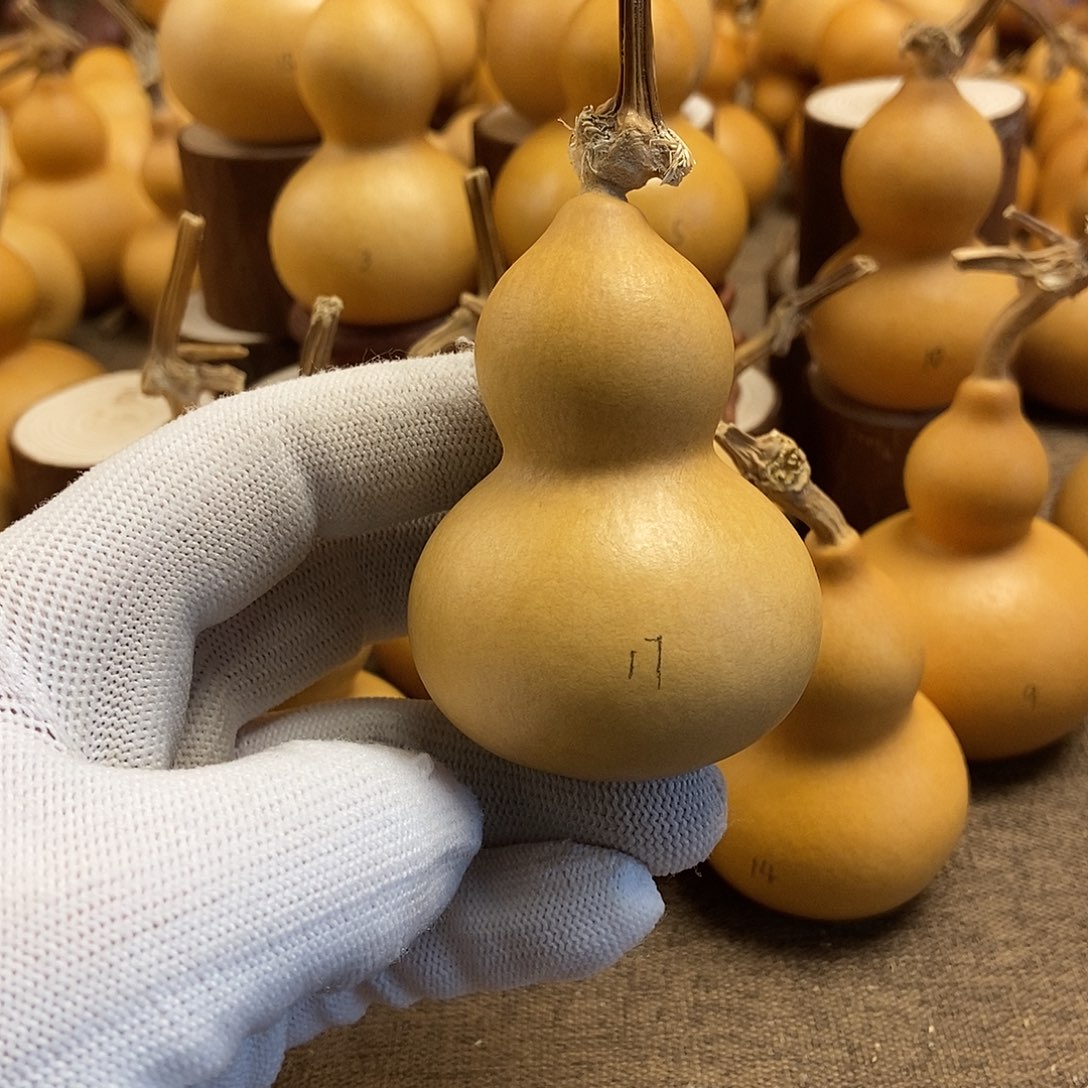 文玩葫芦 完美主义者 慎拍17