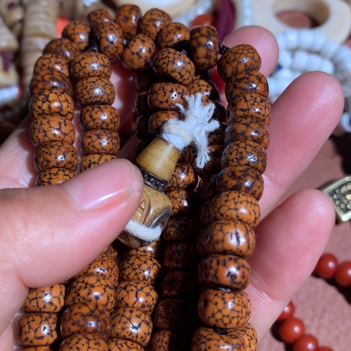 吊坠菩提根/象牙果