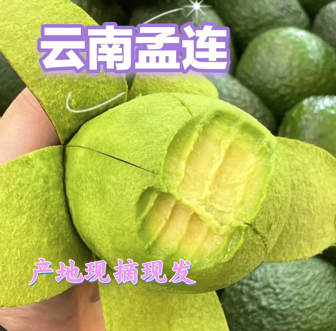 【勐玛山】云南孟连哈斯牛油果宝宝辅食代餐当季新鲜现摘国产鳄梨