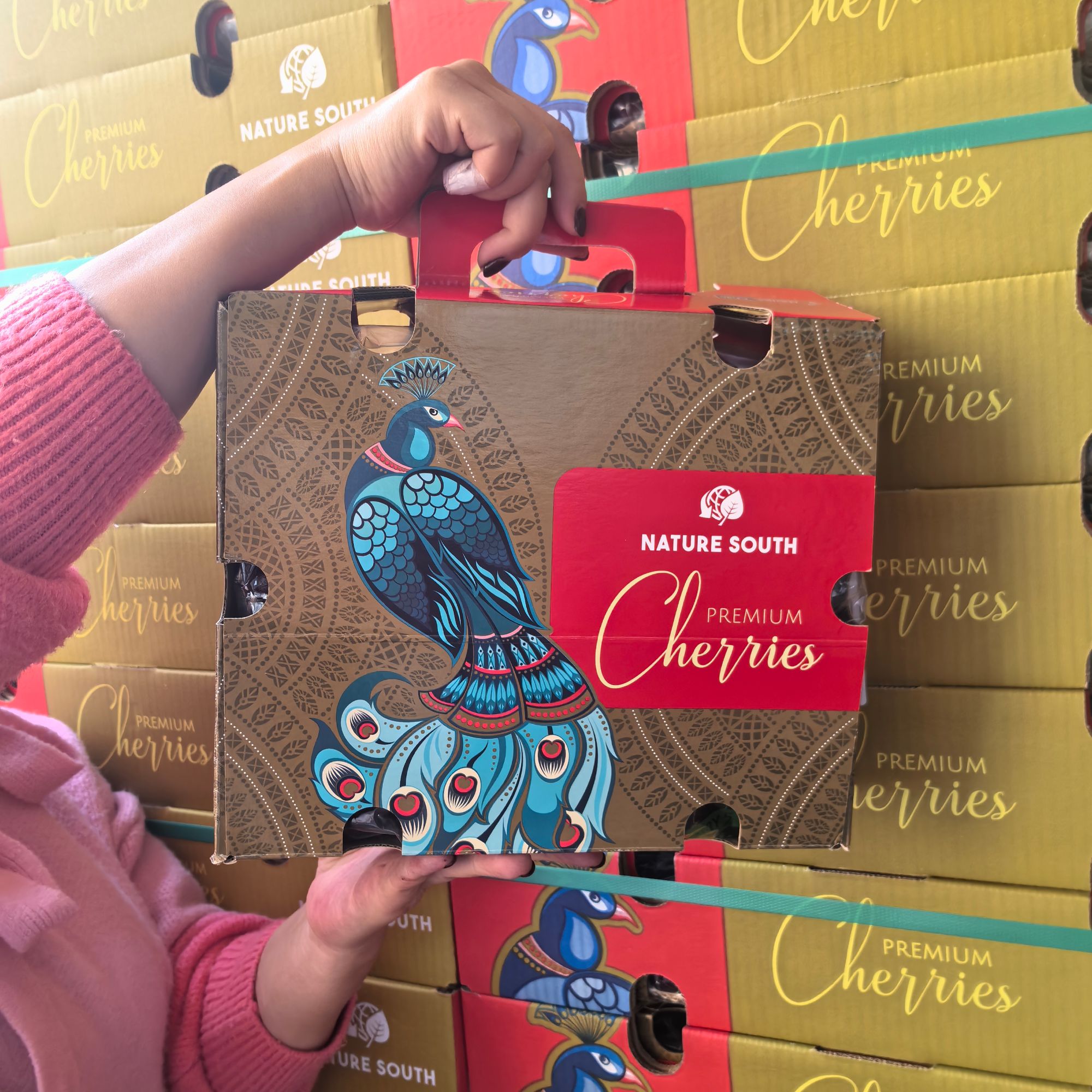 蓝孔雀车厘子2JDD 拉宾斯 5-10斤