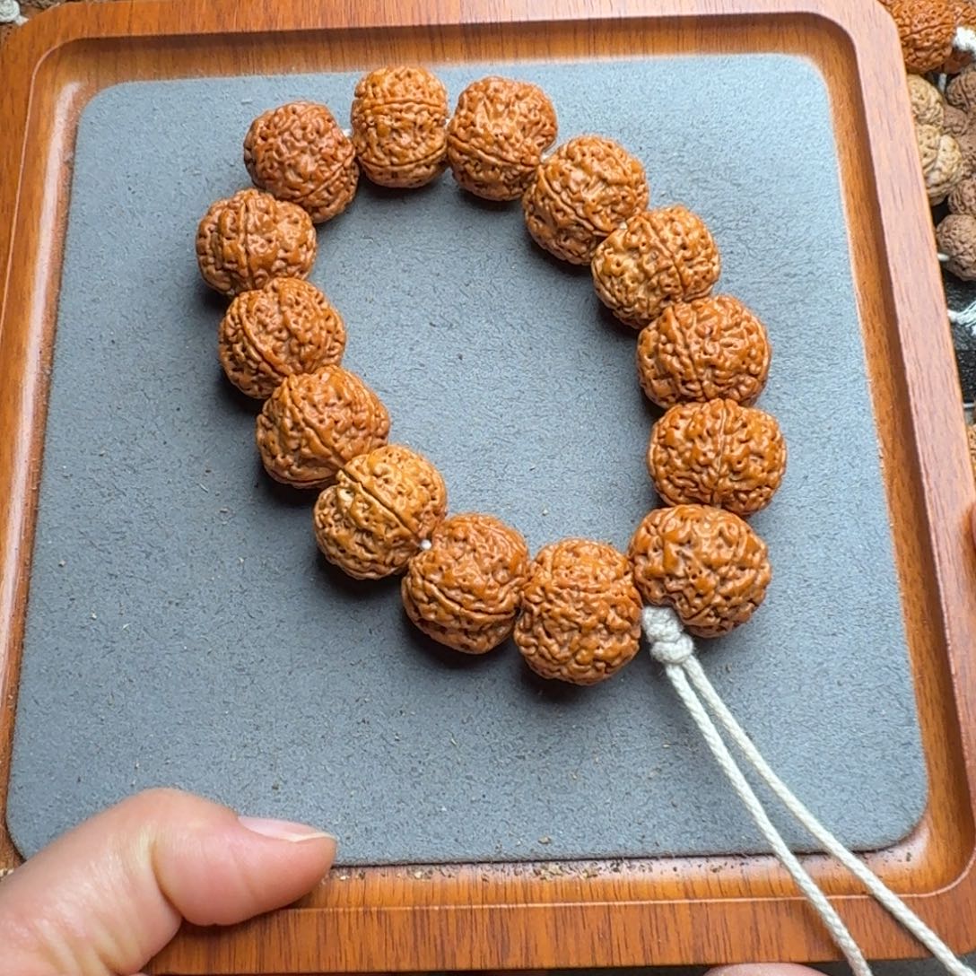 菩提菩提21号尼泊尔大金刚23满肉