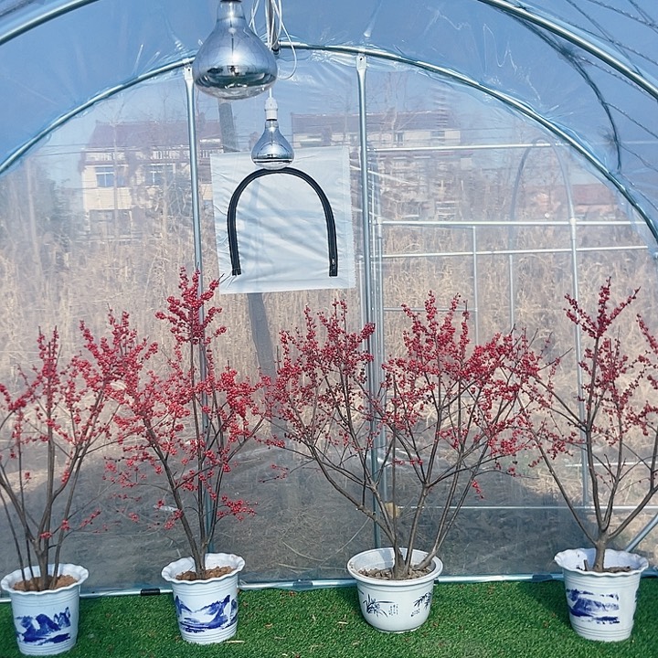 用***83m4m2m圆弧款的小