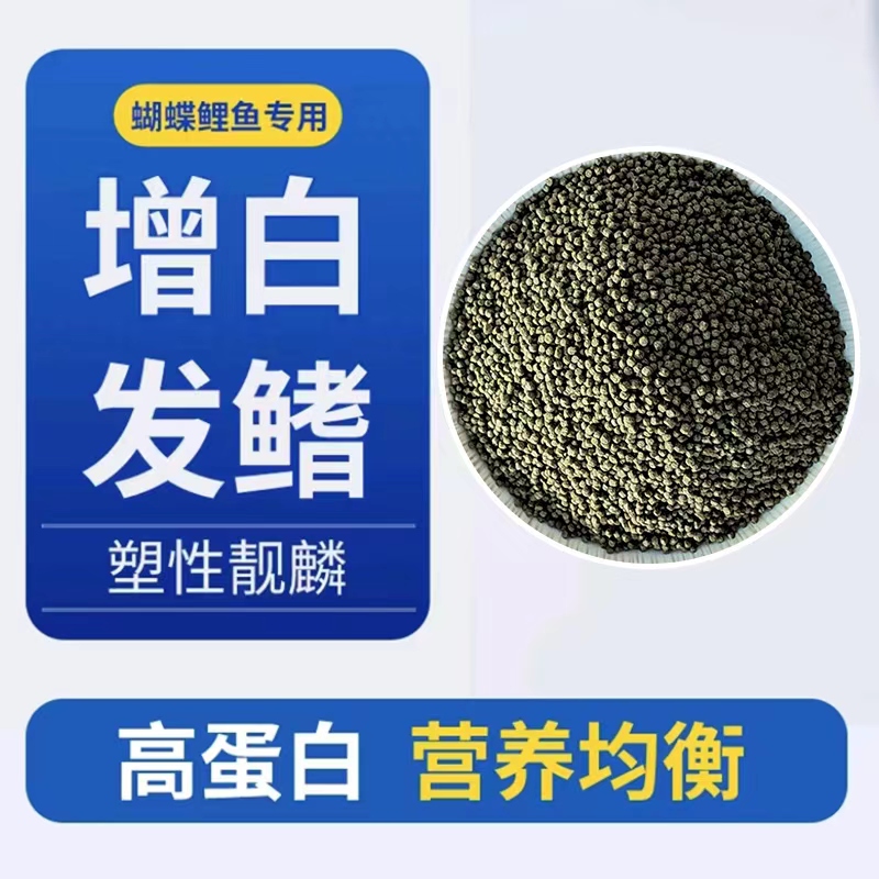 蝴蝶鲤锦鲤兰寿泰狮观赏鱼饲料