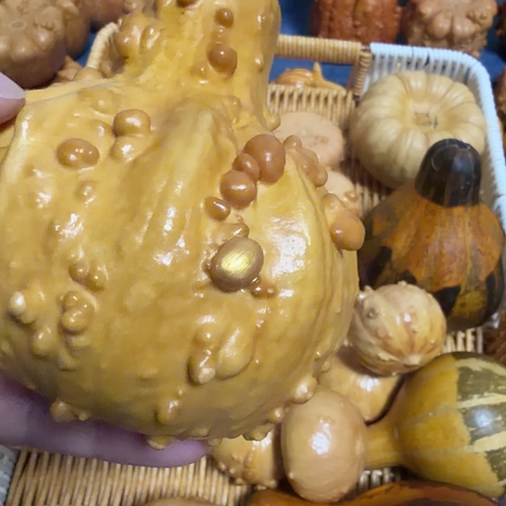 小***安墨西哥七彩疙瘩葫芦瑕疵不退货