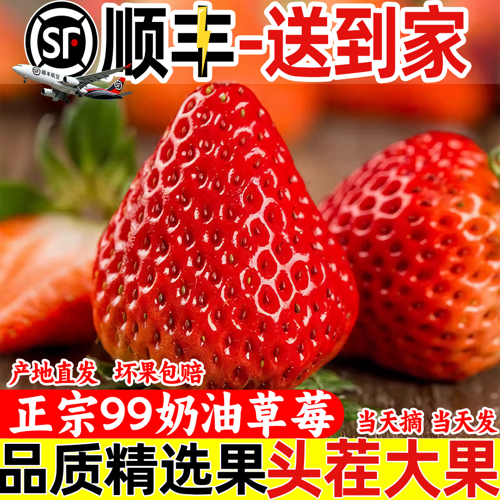 【顺丰快递】大凉山草莓99新鲜现摘应季水果顺丰包邮孕妇可食非丹东