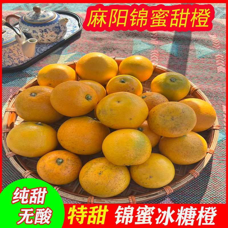 湖南麻阳锦密冰糖橙纯甜无酸现摘当季新鲜水果现摘现发顺丰包邮
