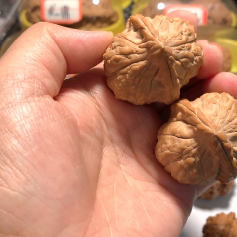 文玩核桃吊坠来**庄龟甲纹