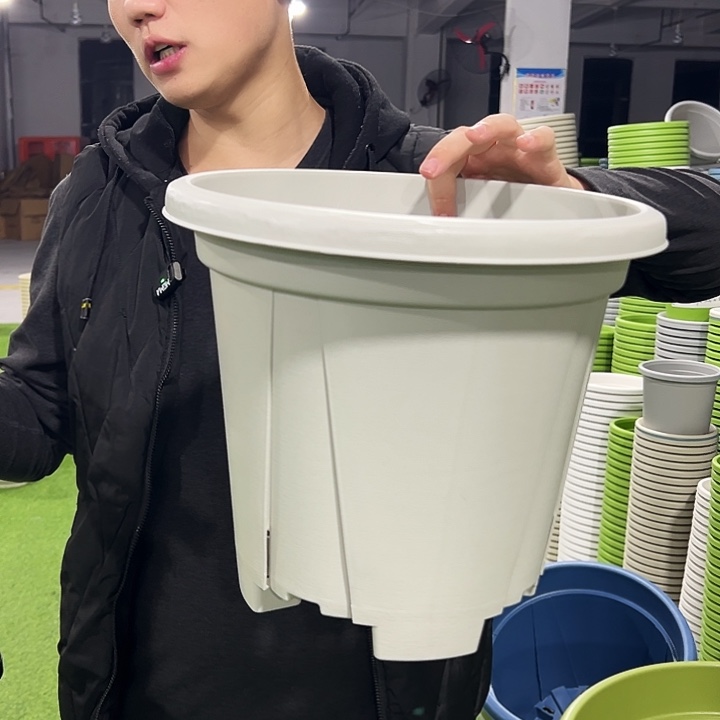 清仓青山口32高28灰白色5只无托