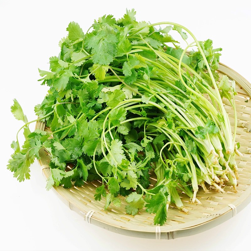 隆家菜源香菜/份香菜