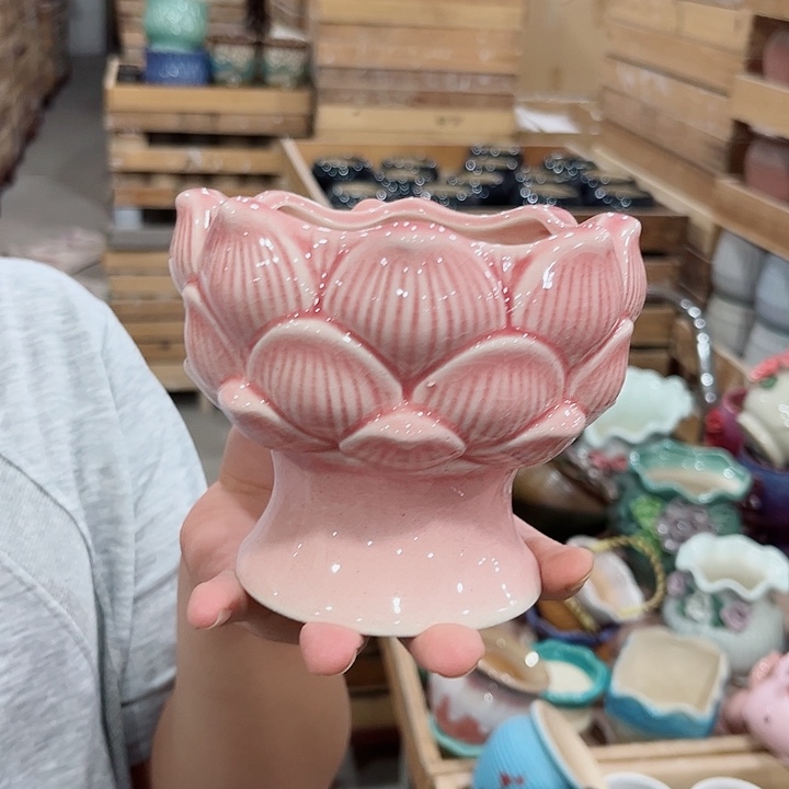 福利款！数量有限！