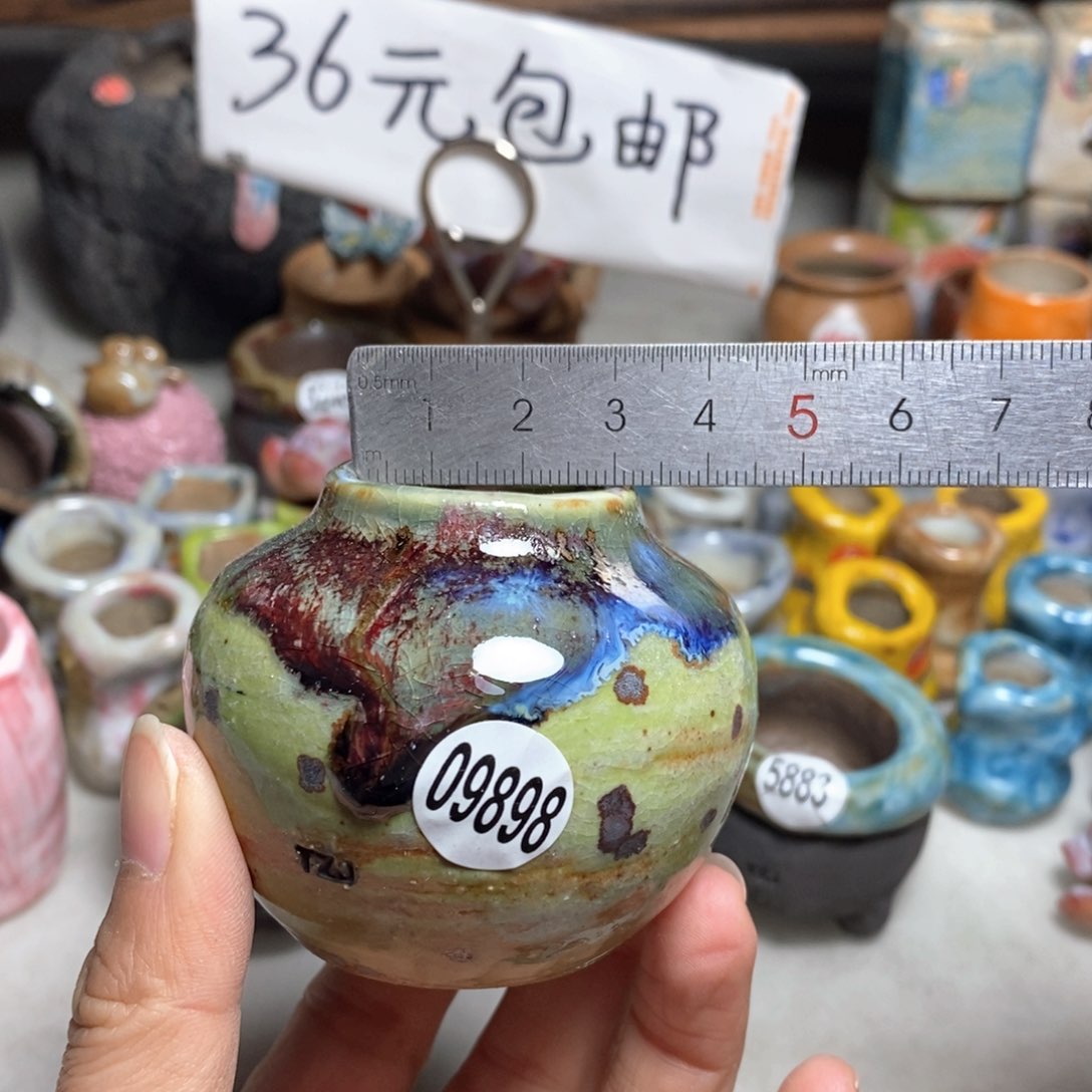 拍5送一个小礼物