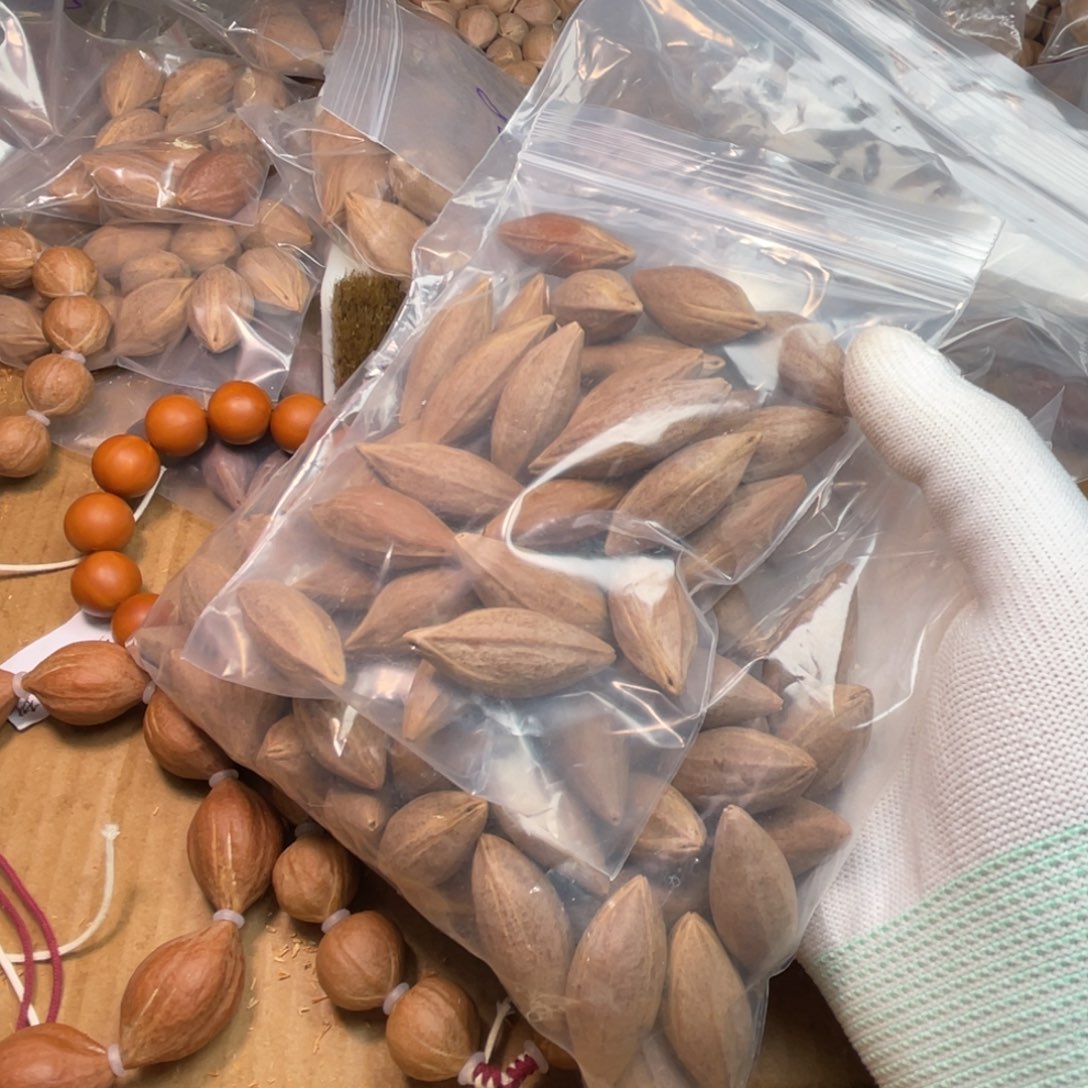 S***.橄榄核手串/手链1