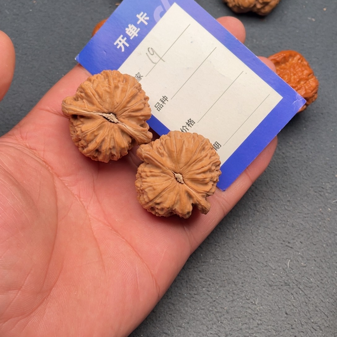 核桃把件39白狮子，19号