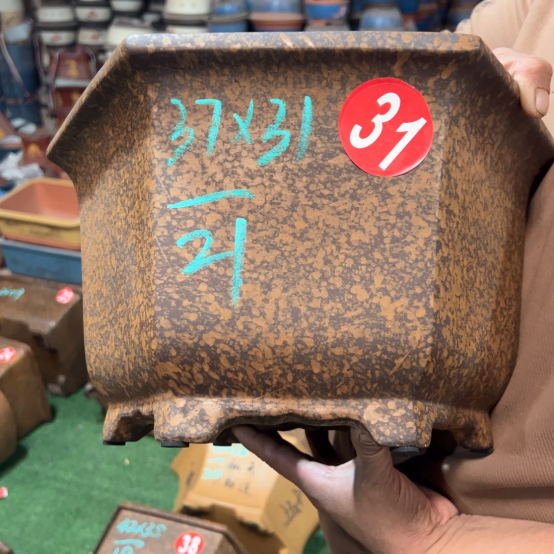 紫砂花盆《****馍紫砂花盆