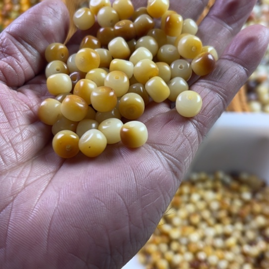 白玉菩提吊坠9-7炭烤桶珠300颗