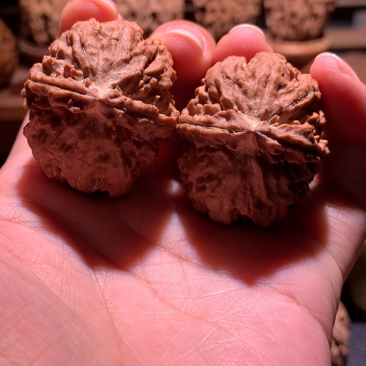 吊坠文玩核桃楸玥核34