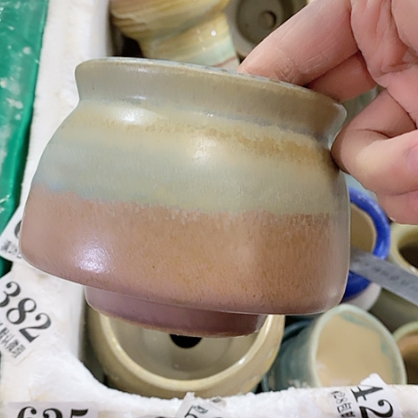 【闪购商品】红陶口8.5