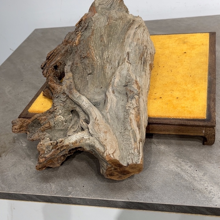 k***f柏木崖柏等自然资源和生态资源