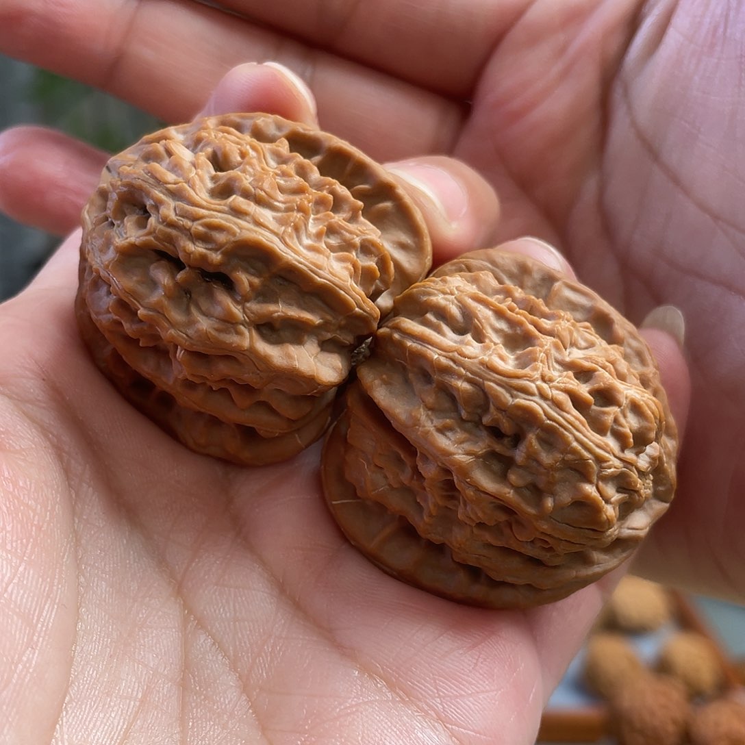 桃核把件40×42尺全品白茬山地三角白狮子头CN0452