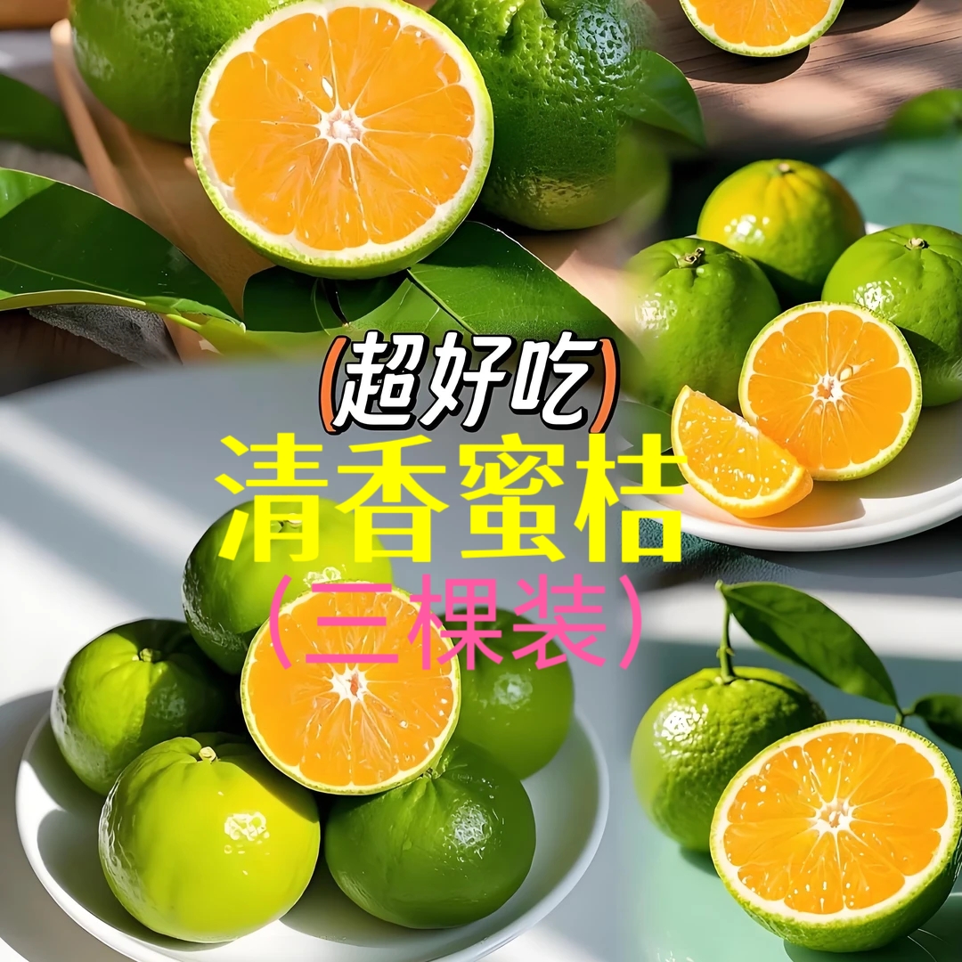 清香蜜桔宠粉福利三颗装（包对版不包存活）