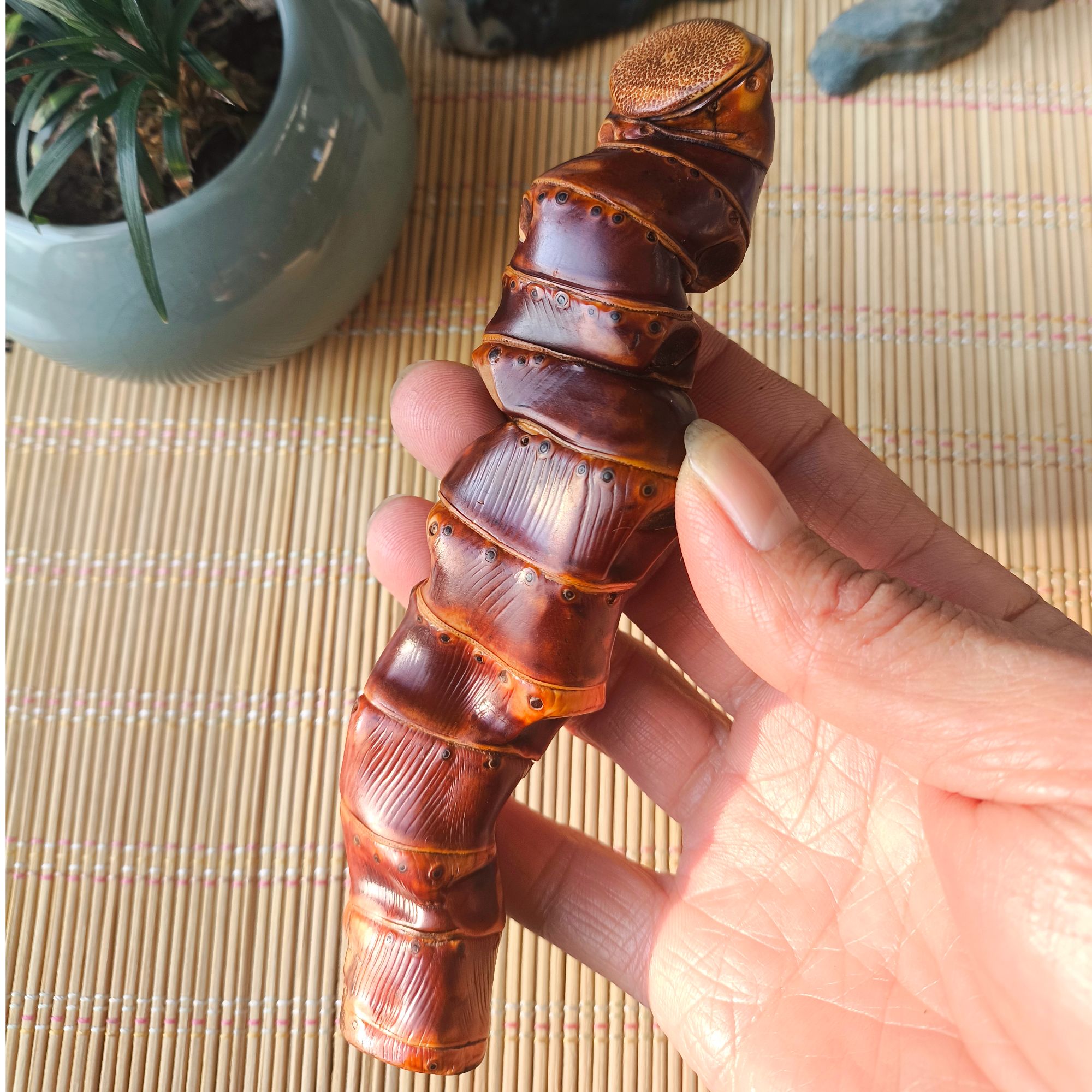 实心玉竹竹根竹鞭手把件文玩摆件盘玩工艺品011