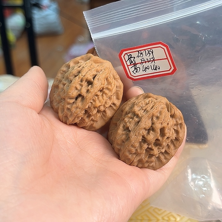 文玩核桃把件非嫁接马老四