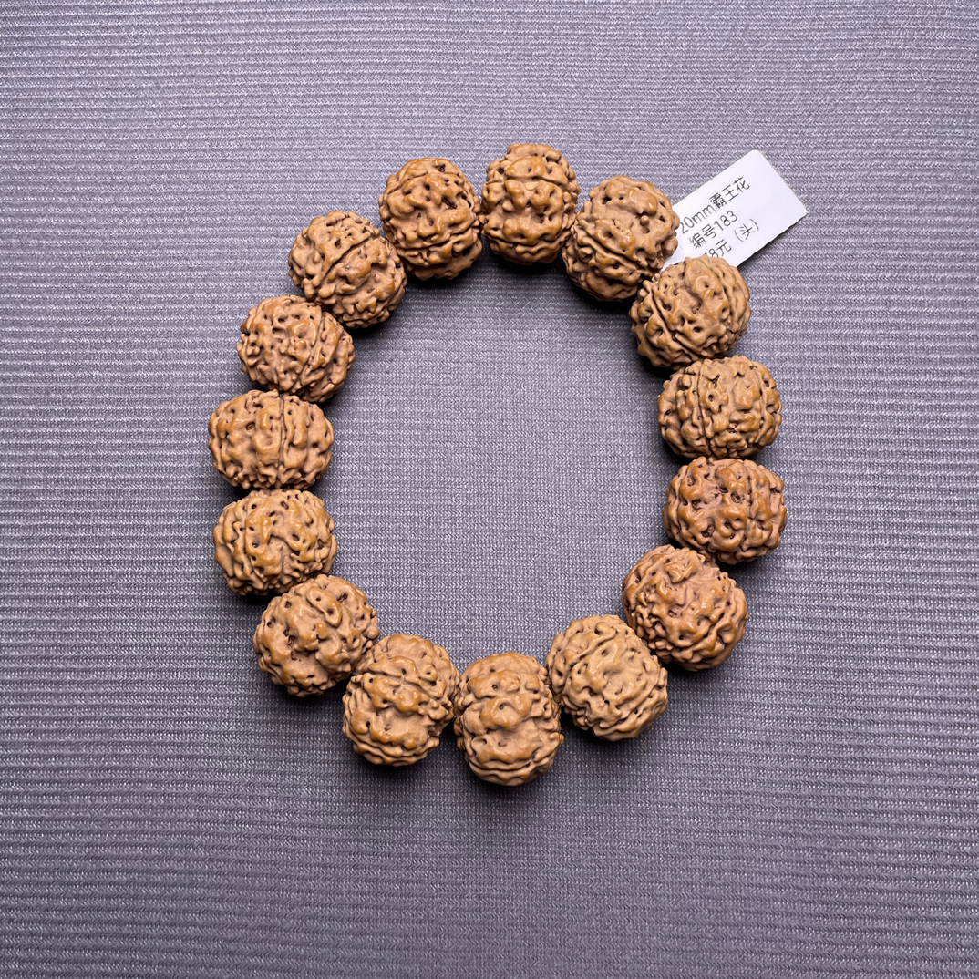 20mm原生态霸王花（头）编号183 金刚菩提