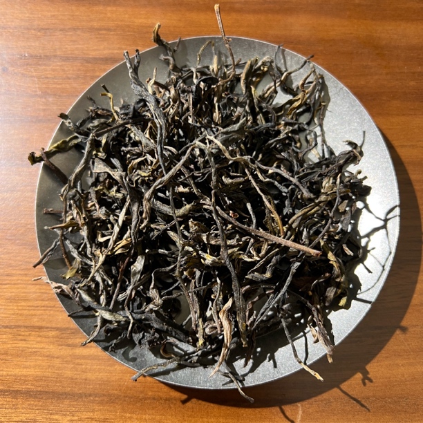 2400M森林秘境古树茶，清凉感十足口感霸气