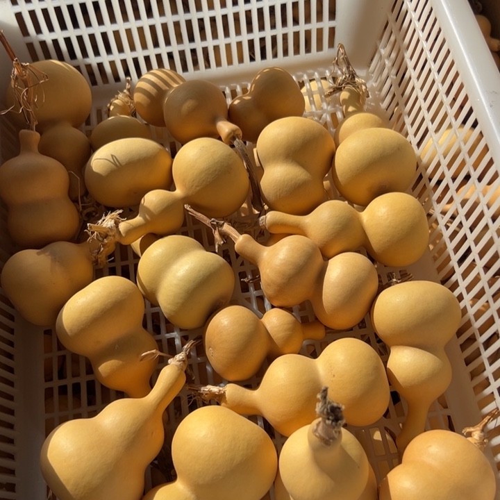 西***～大叶紫檀（黑酸枝木类）