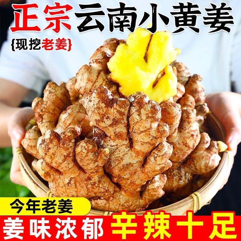 云南小黄姜新鲜现挖山地种植老姜辛辣够味香味浓郁