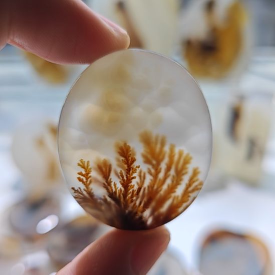 玛瑙/玉髓未镶嵌吊坠(不含链)19号