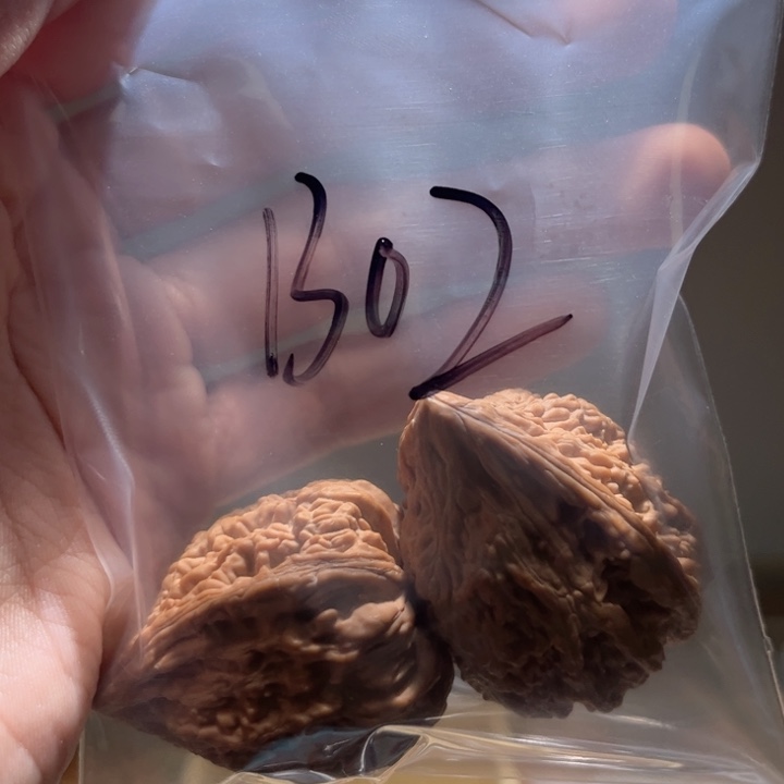 X***X吊坠文玩核桃核桃b02