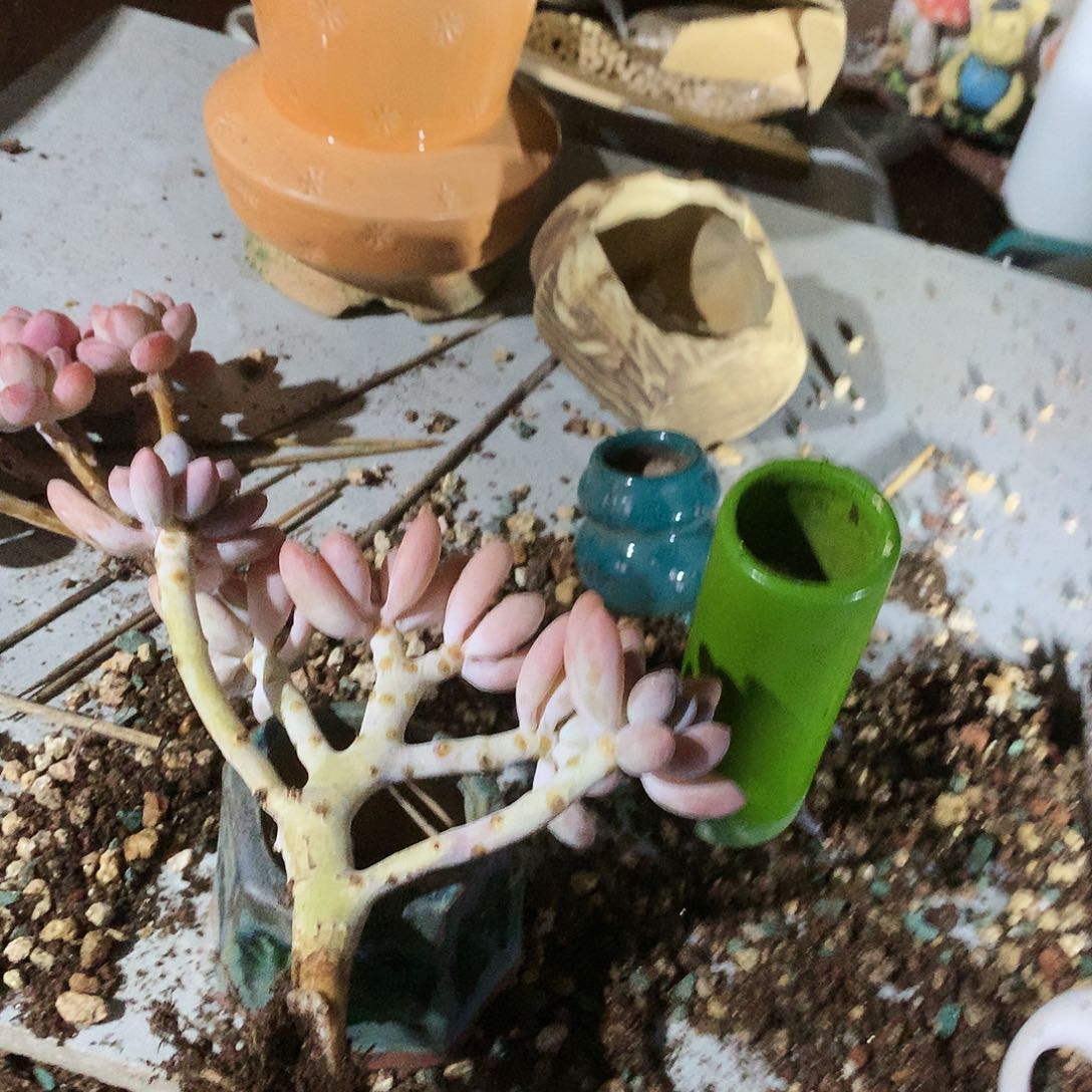 完全开放是啊我们都是我们学校广播站