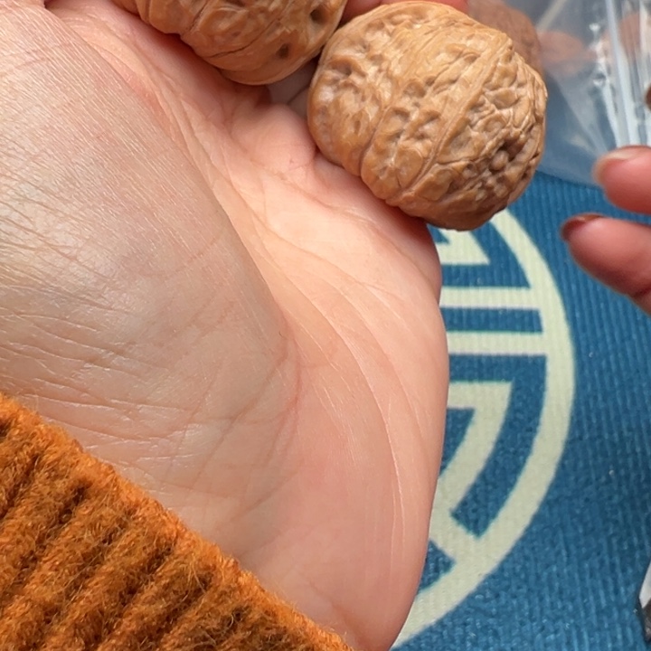 桃核吊坠文玩核桃南瓜吨