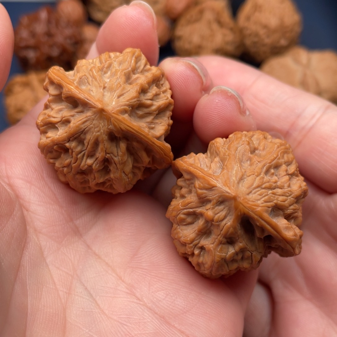 文玩核桃把件野牛33