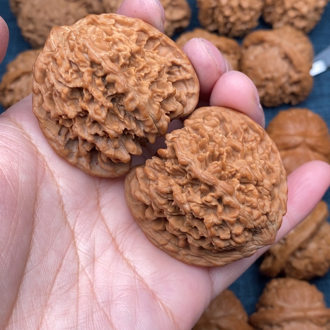 文玩核桃把件43.8精品满天星全品