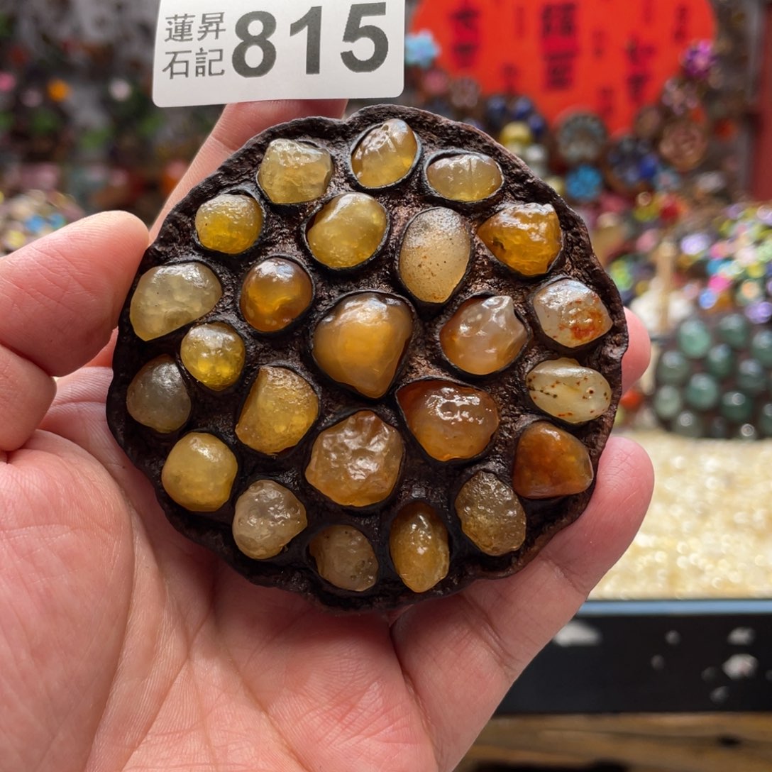 核桃木/黑胡桃（胡桃木）815卡7➕冰糖雪梨