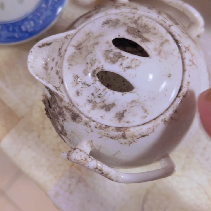凡***）杯景德镇陶瓷白宫