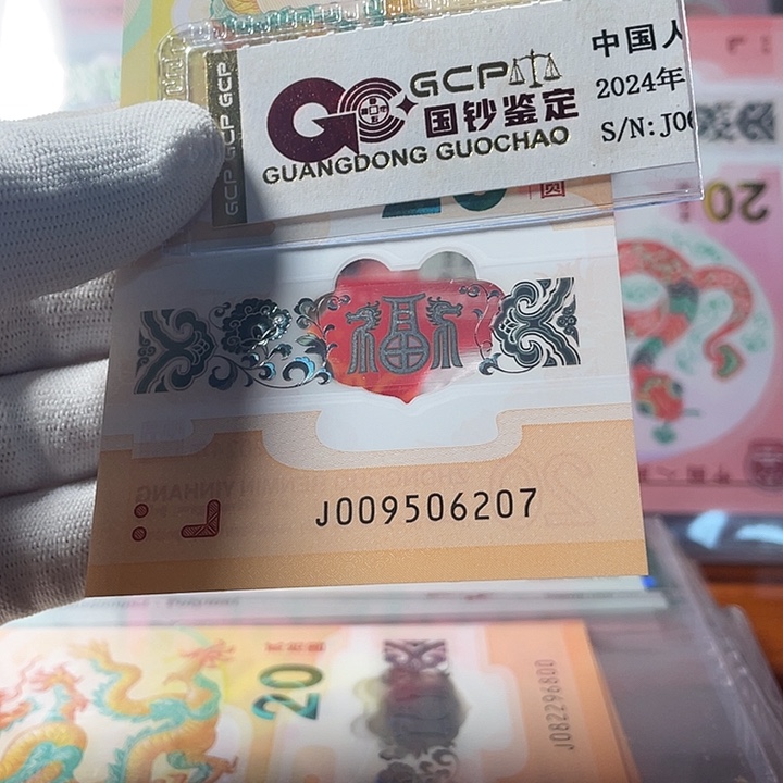 塑料至尊龙 009506207