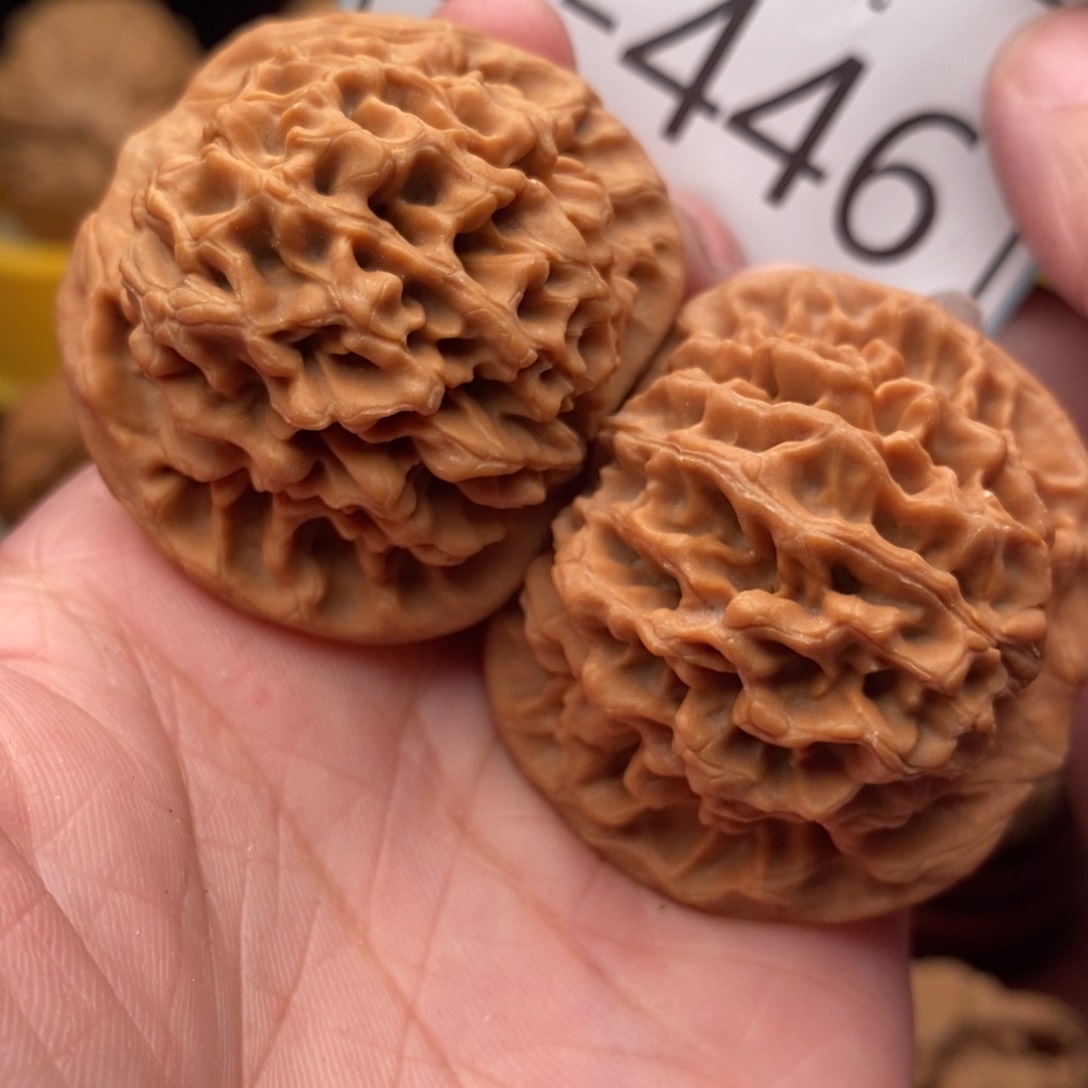 文玩核桃把件毕业秦闷42